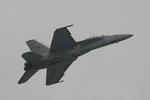 US Navy F/A-18 Hornet demonstration